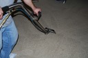 Capet Wiser Carpet Cleaning