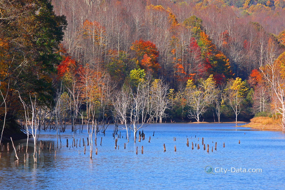 Colorful autumn trees in the lake