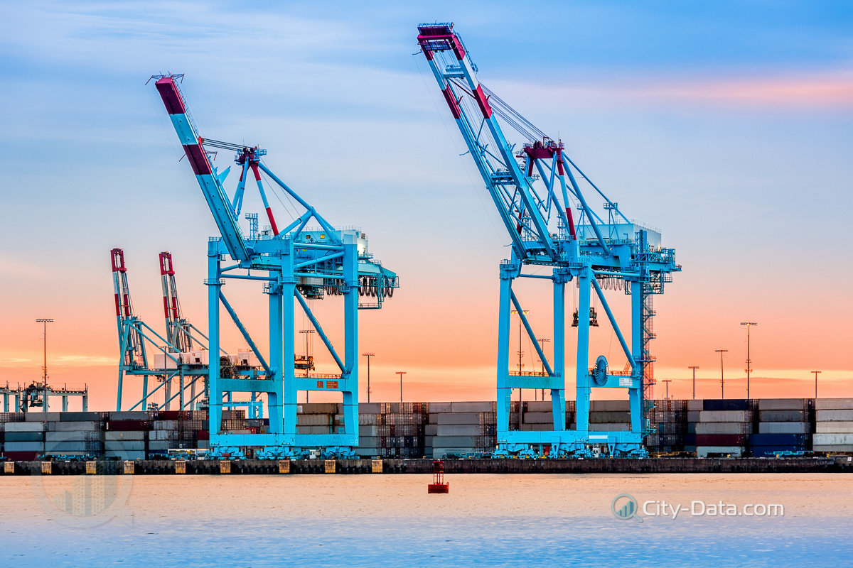 Cranes from the newarkelizabeth marine terminal