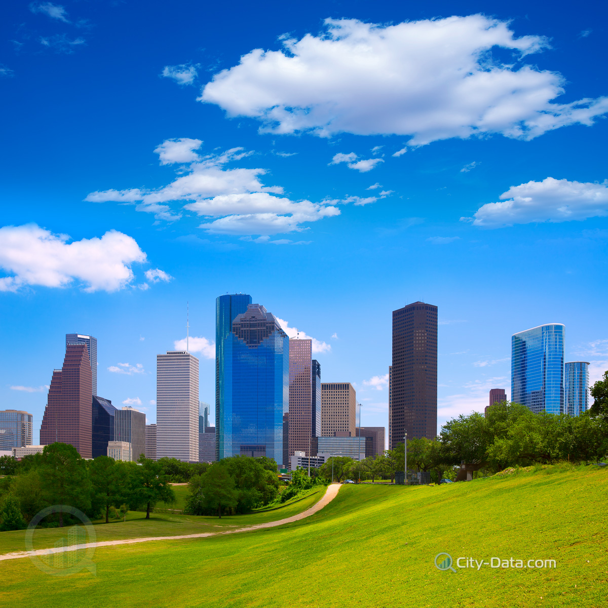 Houston view from park lawn