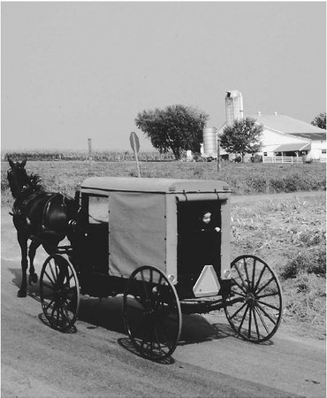 Recreated Amish farms can be toured in the countryside surrounding Lancaster.